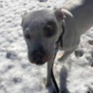 Meet your Posher, Landyn